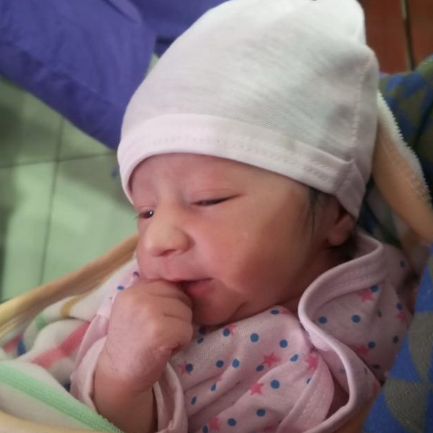 25.01.2026_12.04.12_REC