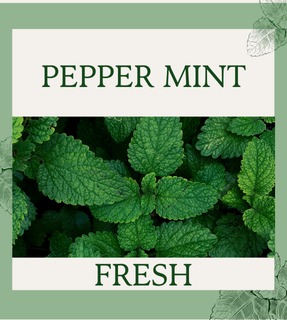 WhatsApp Image 2026 01 15 at 12.43.57 PM