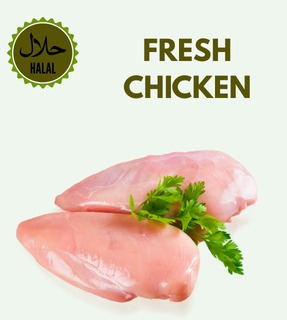 WhatsApp Image 2026 01 15 at 12.43.59 PM2