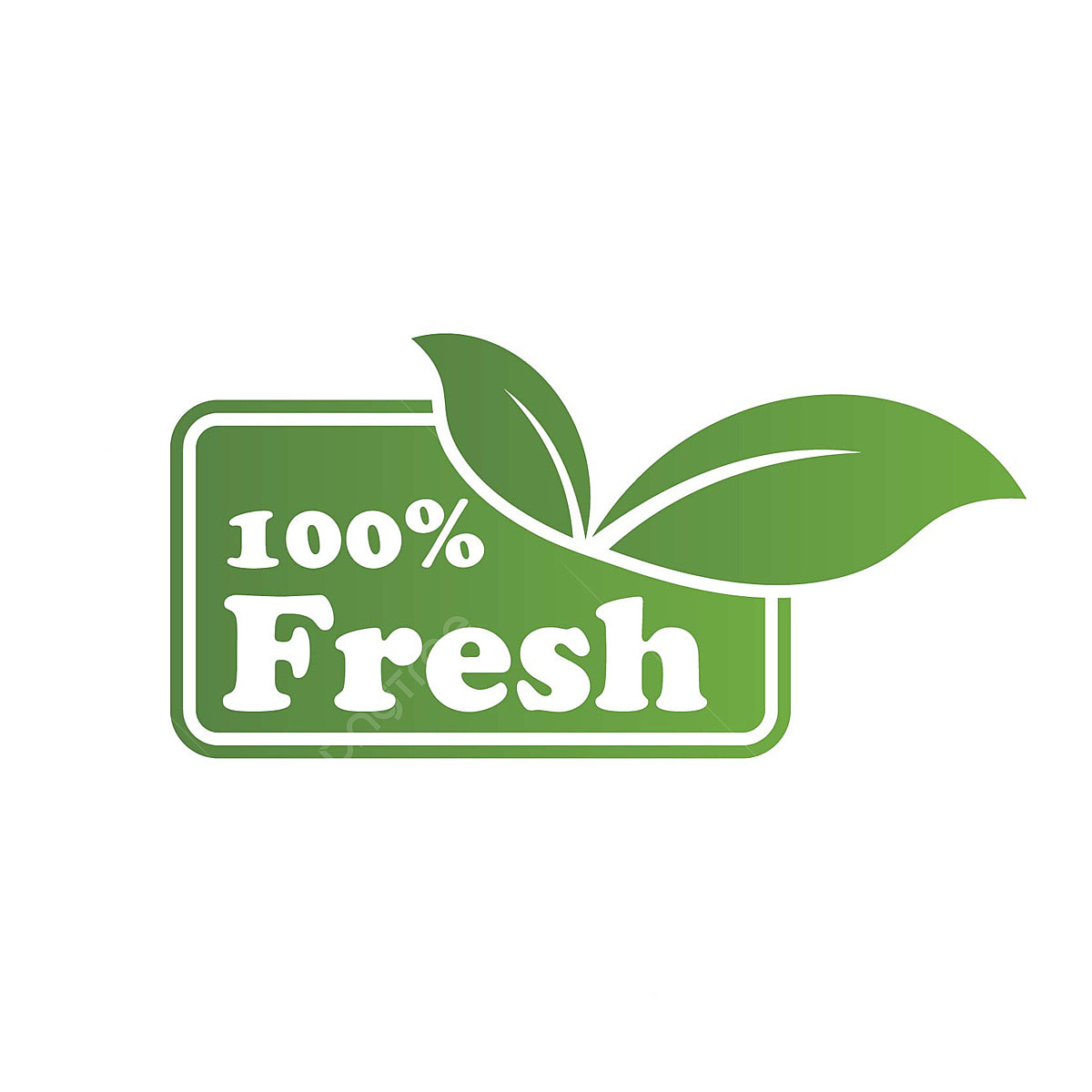 pngtree fresh logo of green leaf ecology vector collection of bright and png image_5203975